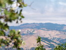 P7090006