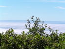 P7090008